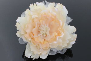 yTviz@l@U@@EGfBO@hX@߁@U@с@Ǝ@@I[KW[rbN}qS2Fr