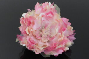 yTviz@l@U@@EGfBO@hX@߁@U@с@Ǝ@@I[KW[rbN}qS2Fr