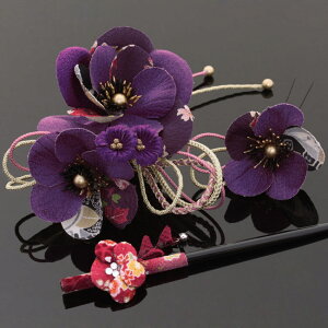 a 3_Zbg@a@ԁ@l@Ǝ@@p[eB@߁@čՂ@amodern@߂񍕎{}񂴂~@ʂ߂ցqS4FrRV