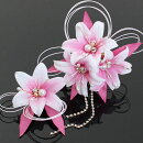 ȱ����2�����å�ɴ�祯�ꥹ����ҥԥ󥯡�/ȱ����/����