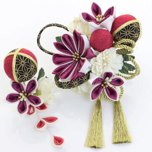 @ԁ@܂ݍ׍H@2_Zbg@l@U@Ǝ@с@@EGfBO@hX@߁@amodern@匕ۃ~bNXe܂݁e܂݁@߂ʏYqS4ށr