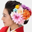 U�ԥ�ȱ����12�����å����������ͼ�´�ȼ��ӷ뺧���ѡ��ƥ��ɥ쥹���ƺפ�椫������󥸼�ͳ���ߥե꡼�ե������