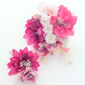 @ԁ@2_Zbg@l@U@Ǝ@с@@EGfBO@hX@߁@cCc[gK[x@q[Yr