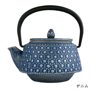 【直火不可】奥州 南部鉄器 急須 九重亀甲南部鉄器 急須 長寿 おしゃれ カラーポット かわいい おしゃれ急須 茶こし付き 南部鉄 茶道具 カラー 伝統工芸 和食器 日本製 定年 退職 プレゼント