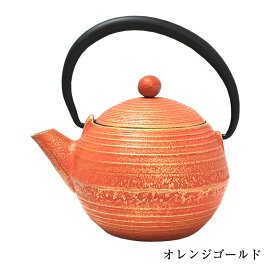 【直火不可】南部鉄器 鋳技 急須 球南部鉄器 急須 日本製 母の日 カラーポット 一人用 ホーロー 退職 定年 おしゃれ かわいい 定番 鉄器 古希 伝統工芸 保温 新生活 一番人気 ギフト プレゼント 誕生日 お返し 結婚祝 還暦 贈り物 内祝 人気 ラッピング無料 女性