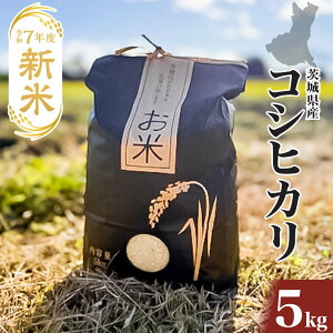 ߘa7Nx V 錧YRVqJ 5L