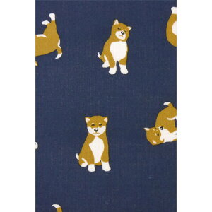 yz ʂ {y_l đDzĂʂ    c  { GR N ȁ@킢 ^yXg[ CO yY  }XN ̓ ̓ hV̓ [