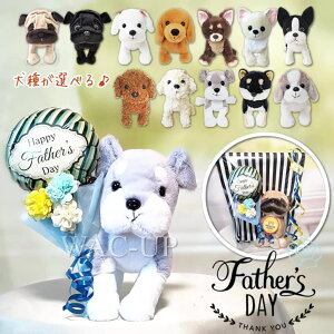 ̓  ԑ j 蕨  Mtg v[g D {XgeA ` _bNX }`[Y  ViEU[ V[Y[ pO gCv[h  `  c p ӂ