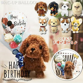 誕生日 プレゼント ブーケ バルーン電報 犬 チワワ トイプードル ダックス ポメラニアン ゴールデンレトリバー 柴犬 誕生日ソーダバルーン花束付ぬいぐるみPUPSミニバルーン