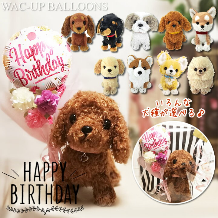 楽天市場 誕生日 プレゼント 花束 バルーン電報 犬 チワワ トイプードル ミニチュアダックス ポメラニアン コーギー シーズー ゴールデンレトリバー 柴犬 誕生日ピンクドット花束付ぬいぐるみpups ワックアップバルーンズ楽天市場店