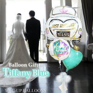 o[  o[ d o[ Mtg j  EFfBO j EGfBOJ[ d o[d  o[Mtg jd 蕨 jOzO