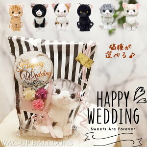  o[d ԑ u[P lR XReBVtH[h AJV[g Oh[ n` ~P NlR [XzCg ~jo[ԑtʂ݃Lg