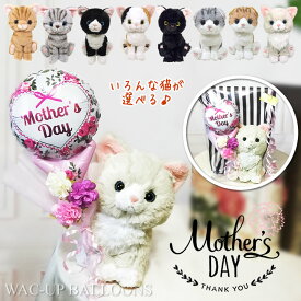 母の日 黒猫 ミケ スコティシュフォールド アメリカンショートヘア ラグドール ハチワレ プレゼント 花束 バルーン電報 ネコ カーネーション ブーケ ラヴィアンローズ 母の日ミニバルーン花束付ぬいぐるみキトン