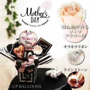 ̓̑蕨 v[g o ghJ[ŃZX̂v[g ̓LLo[AW KÑ\[vt[ yo[AWgz̓BA