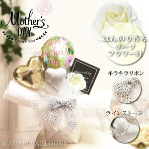 ̓̑蕨 ̓̃v[g o Ό̍ t[  v[g ̓LLo[AW KÑ\[vt[ yLLo[AWgz̓