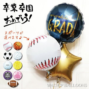 Əj j Ǝ   o[d a v[g 蕨 싅 TbJ[ oXP o[{[ St ejX  v[g LOi Əj^bZX|[c