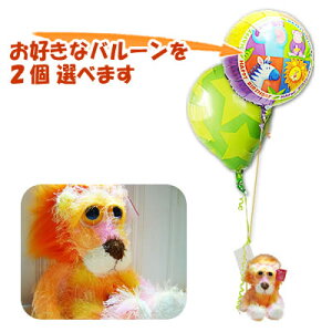 炢 ʂ o[ D d Mtg  a oYj v[g 蕨 j jd o[d o[Mtg hV̓ ̂j ij Əj wj 