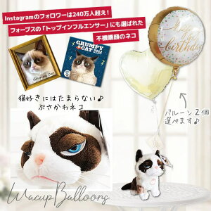 uTJDւ̃v[g uTL̂ʂ&o[Mtg - uԂLGUNDOs[Lbgv̂ʂ邪^ԁ2o[Zbgy[pwEKXtE{B