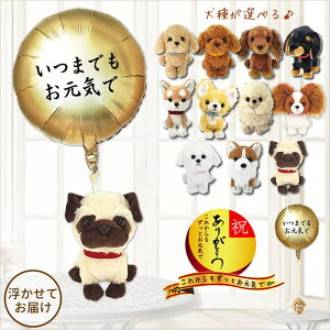 o[ D hV җ Ê  P Ď   ΂  v[g  ʂ ` gCv[h _bNX |jA Č R[M[ LGCŃTe