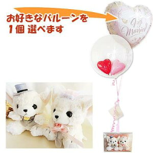 @ʂݓd@uC_@EFJh[BOXi`ĵʂ邪^2o[Cv`Zbg