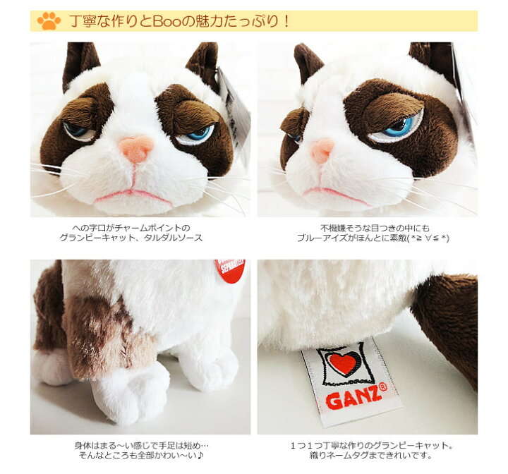 楽天市場】ぶさかわな猫好きにはたまらないっ! 不動の人気 ブサイク 