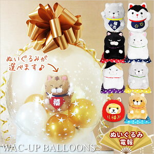 招き猫 結婚式 祝電 入学 卒業 合格 お祝い バルーン電報 猫好き 柴犬 だるま お祝い 縁起物 プレゼント 誕生日 贈り物 ぬいぐるみバルーンラッピング:ひげまんじゅう招き猫&正座&あみゅ