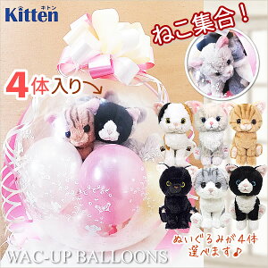 ネコ 結婚式 バルーン電報 誕生日 プレゼント スコティシュフォールド アメリカンショート ラグドール ぬいぐるみバルーンラッピング 選べるキトン猫4体入り