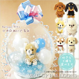 犬 結婚式 バルーン電報 誕生日 プレゼント チワワ ポメラニアン ゴールデンレトリバー 柴犬 ぬいぐるみバルーンラッピング（水色）選べる子犬PUPSパプス