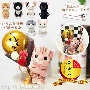 hV̓ v[g o[d u[P 蕨 lR XReBV AJV[g Oh[ n` ܂łC ~jo[ԑtʂ݃Lg