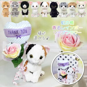   L ʂ F ̋ ybg  ԈȊO d  L ~P XReBVtH[h AJV[gwA Oh[ n` 肪ƂC~jo[