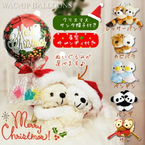 NX}X u[P  VN} bT[p_  Jsp ؃M p_ v[g NX}X[X ~jo[^LfBtT^Xqt ߂჉u