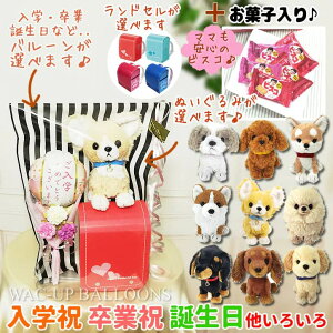  ij wj Əj j j wZ V1N u[P j ` gCv[h ~j`A_bNX |jA S[fgo[ R[M[ V[Y[ Č o