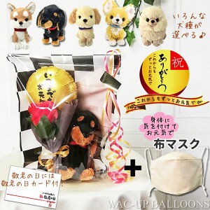 hV̓ v[g u[P ` gCv[h _bNX |jA go[ Č CŃo[ԃo\[vt[ʂPUPSz}XNZbg