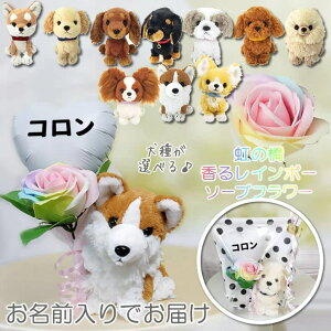     ʂ 񂿂 ybg d ̋ F  ԈȊO  u[P 蕨 O ` gCv[h ~j`A_bNX |jA Č 