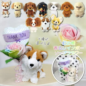 お供え お悔み お悔やみ 犬 ぬいぐるみ わんちゃん ペット 弔電 虹の橋 虹色 飼い主 花以外 花 ブーケ 贈り物 チワワ トイプードル ミニチュアダックス ポメラニアン 柴犬 パピヨン コーギー