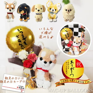 hV̓ v[g u[P ` gCv[h _bNX |jA go[ Č ܂łCŃ~jo[ԑtq̂ʂ PUPSpvXZbg