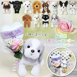  񂿂 ybg   d ̋ ʂ F  ԈȊO  蕨 pO RbJ[XpjG ViEU[ {XgeA _bNX V[Y[ }`[Y  