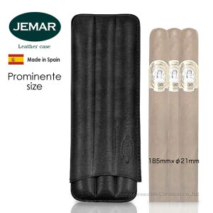 WF}[ VK[P[X v~le Prominente 3{p ubN JM115/3B