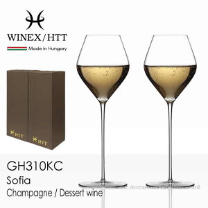 WINEX/HTT \tBA Vp^fU[gC OX 2rZbgyKiz GH310KCx2