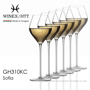 WINEX/HTT \tBA Vp^fU[gC OX 6rZbgyKiz GH310KCx6 MtgbsOsi