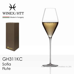 WINEX/HTT \tBA t[g VpOX 1ryKiz GH311KC