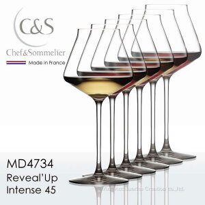 �V�F�t���\�����G �����B�[���A�b�v �C���e���X45 �V�����h�l 6�r�Z�b�g�y���K�i�z MD4734x6