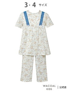 R[ LbY pW} 3  7 100%({) R[_LbY R[ LbYEWjA Ci[E[EFA pW}yz[Rakuten Fashion]