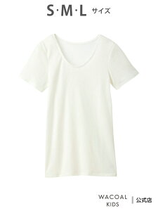 R[ LbY Ci[ Ci[ 炩Ȕ 2  R[_LbY R[ LbYEWjA Ci[E[EFA ̑̃Ci[E[EFA u