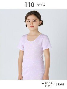 R[ LbY Ci[ Ci[ 炩Ȕ 2  R[_LbY R[ LbYEWjA Ci[E[EFA ̑̃Ci[E[EFA[Rakut