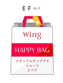 【福袋】 ウイング ナチュラルアップブラ 2ペアセット E-Fカップ Wing ウイング インナー・ルームウェア ブラジャー【送料無料】[Rakuten Fashion]