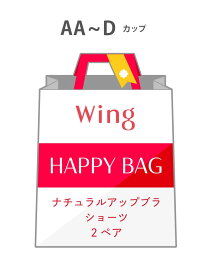 【福袋】 ウイング ナチュラルアップブラ 2ペアセット AA-Dカップ Wing ウイング インナー・ルームウェア ブラジャー【送料無料】[Rakuten Fashion]