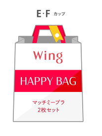 【福袋】ウイング マッチミーブラ 2枚セット E-Fカップ Wing ウイング インナー・ルームウェア ブラジャー【送料無料】[Rakuten Fashion]