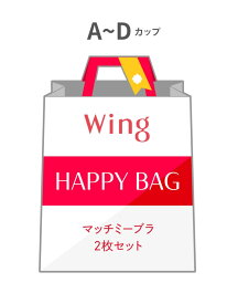 【福袋】ウイング マッチミーブラ 2枚セット A-Dカップ Wing ウイング インナー・ルームウェア ブラジャー【送料無料】[Rakuten Fashion]
