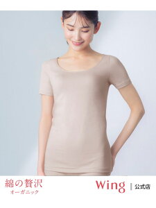 ECO yȂґI[KjbNz Ci[ 3  ȍ Wing ECO Ci[E[EFA ̑̃Ci[E[EFA uE x[W O[[Rakuten Fashion]